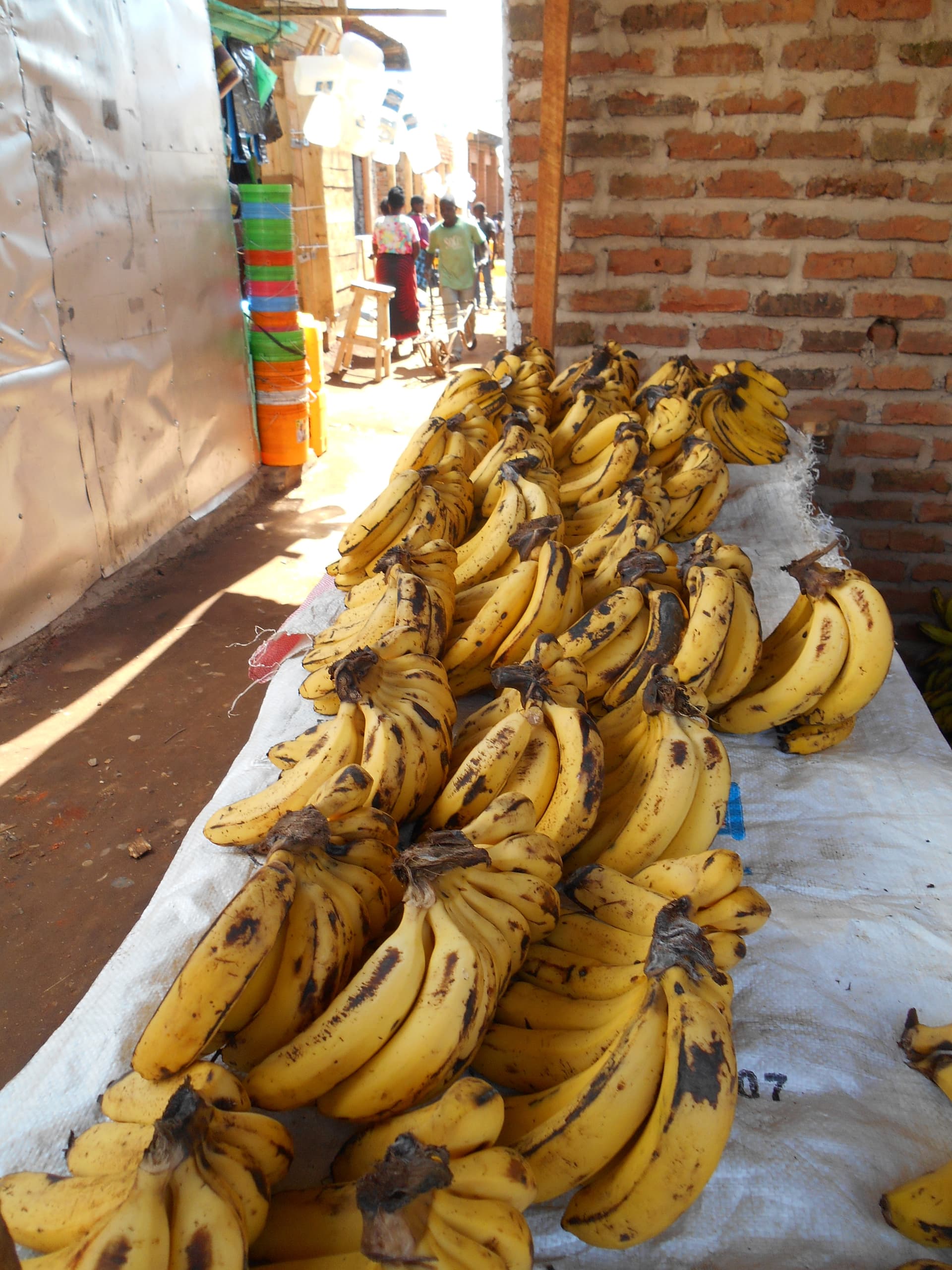 Het dagelijks leven in Soweto, Mzuzu